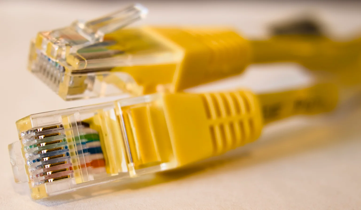 Deux connecteurs Ethernet transparents sur des cordons jaunes, avec leurs contacts visibles